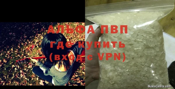 стаф Абинск
