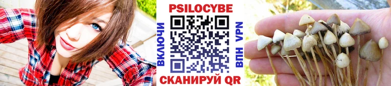 купить наркоту  Среднеколымск  Псилоцибиновые грибы Magic Shrooms 